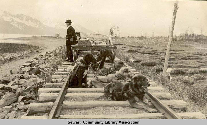 Dog Team Rail 2 UNK.jpg