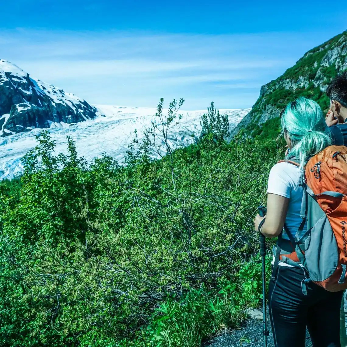 Exit Glacier.jpg