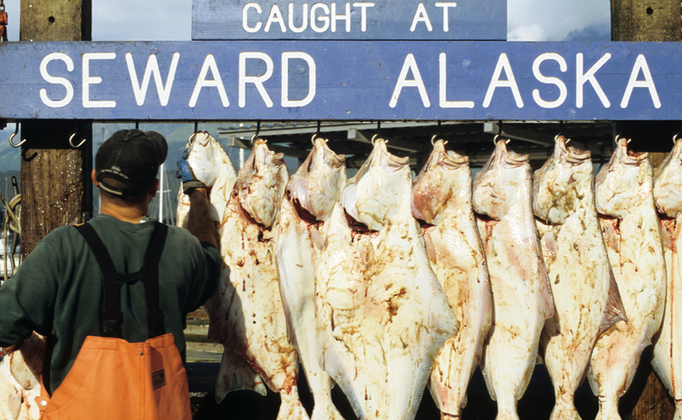 fishing seward