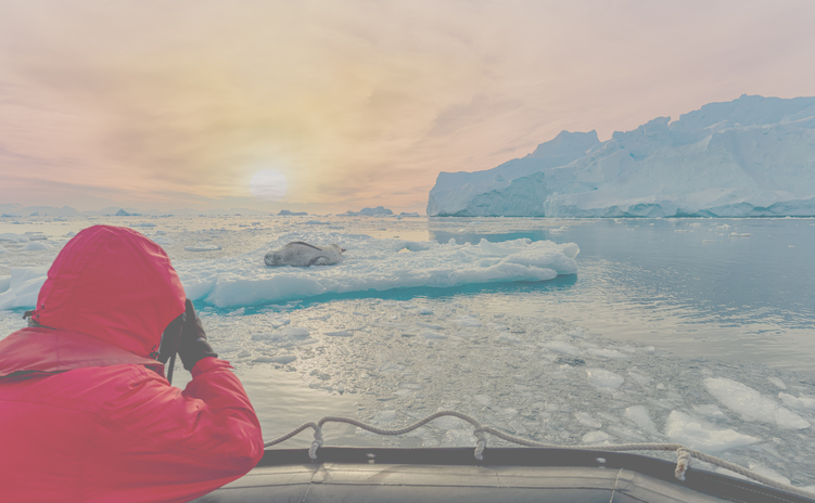 Cruises